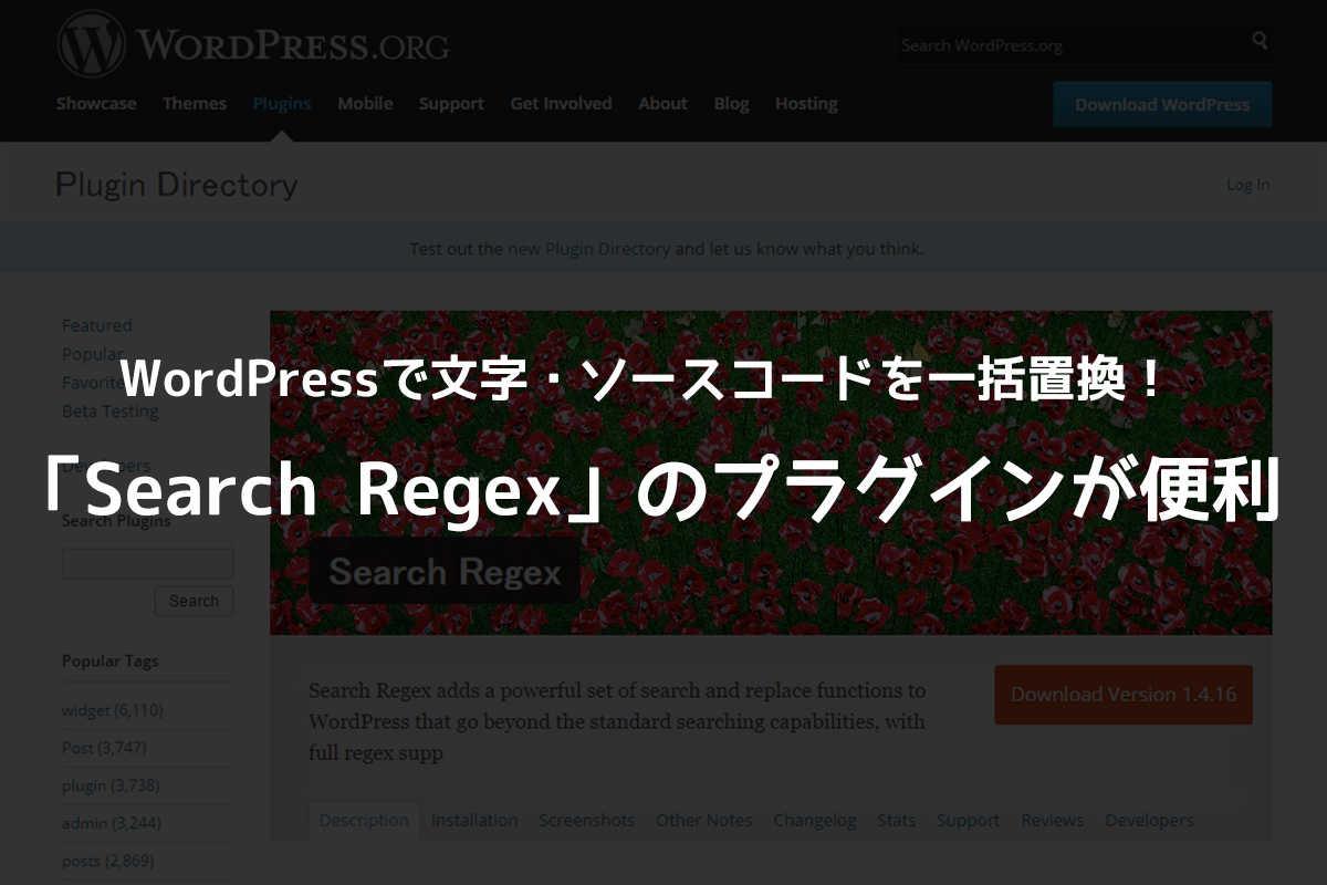 WordPressで文字・ソースコードを一括置換！「Search Regex」のプラグインが便利
